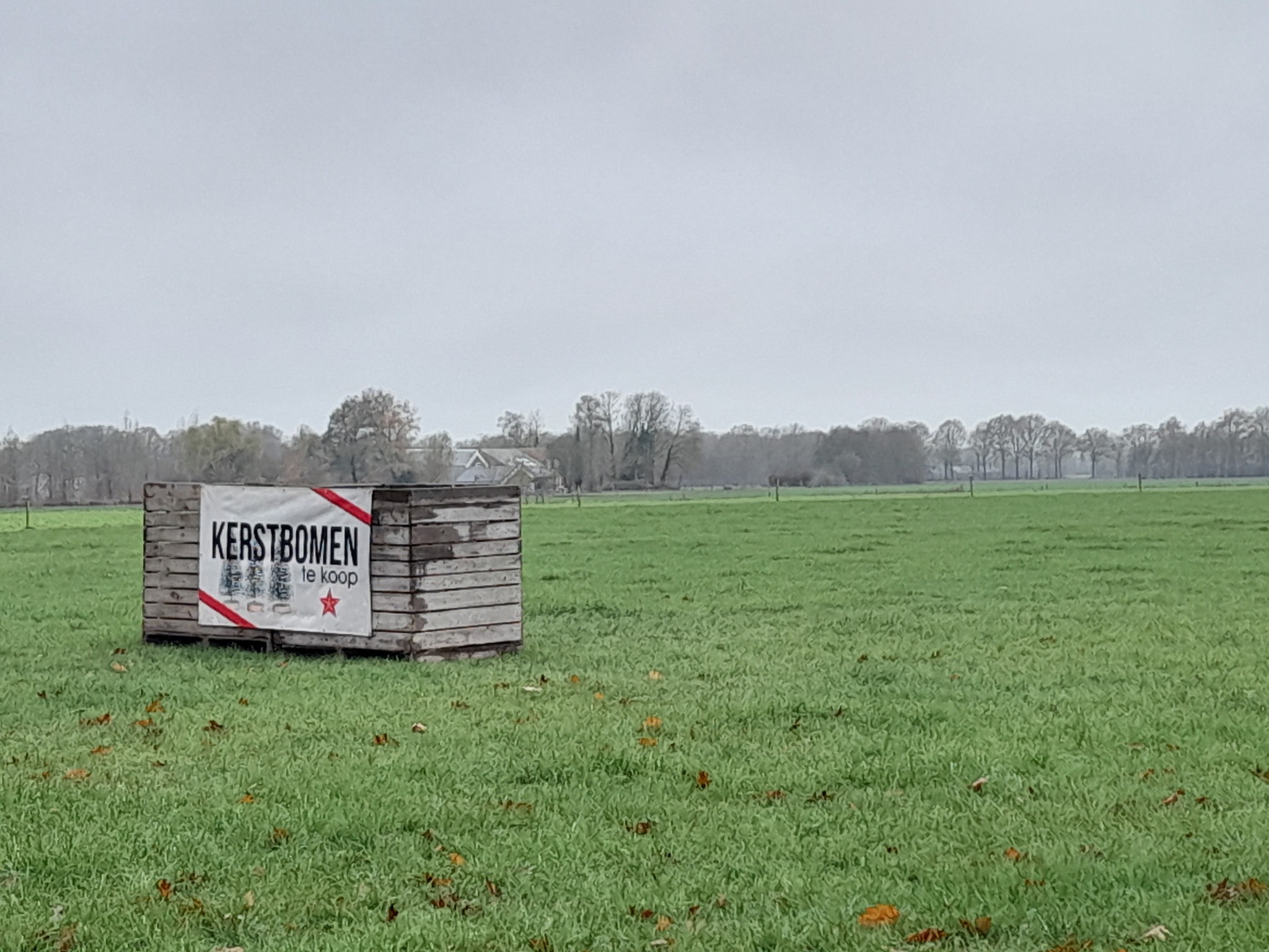 Veel keuze in kerstbomen bij Boerderijwinkel Lensink Aardappelen Aalten